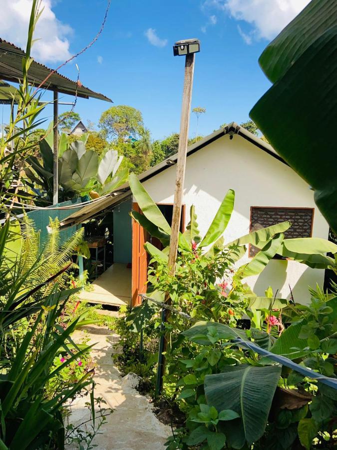 Апартаменты Casita Tangara Con Balcon Y Agua Caliente Драке Экстерьер фото