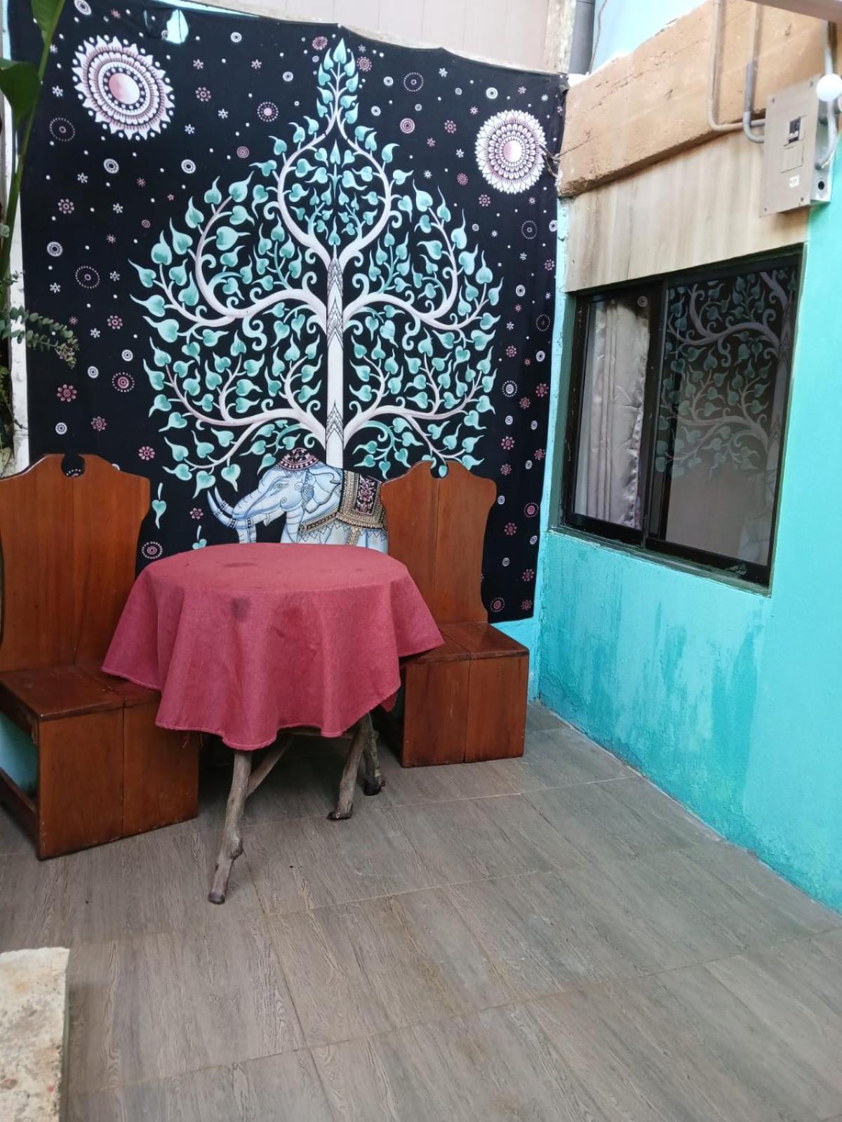 Апартаменты Casita Tangara Con Balcon Y Agua Caliente Драке Экстерьер фото